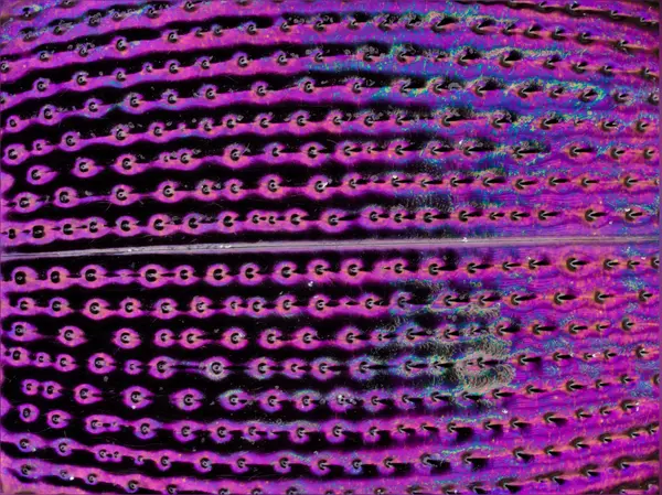 






  
    
  
  
  


Scaphinotus cavicollis
<br>
<br>


  2024-01-15
  <br>





  ©️2024 Ben Gruver

<br>
License: <a href="https://creativecommons.org/licenses/by-nc/4.0/" style="text-decoration: underline;">CC BY-NC 4.0</a> 






