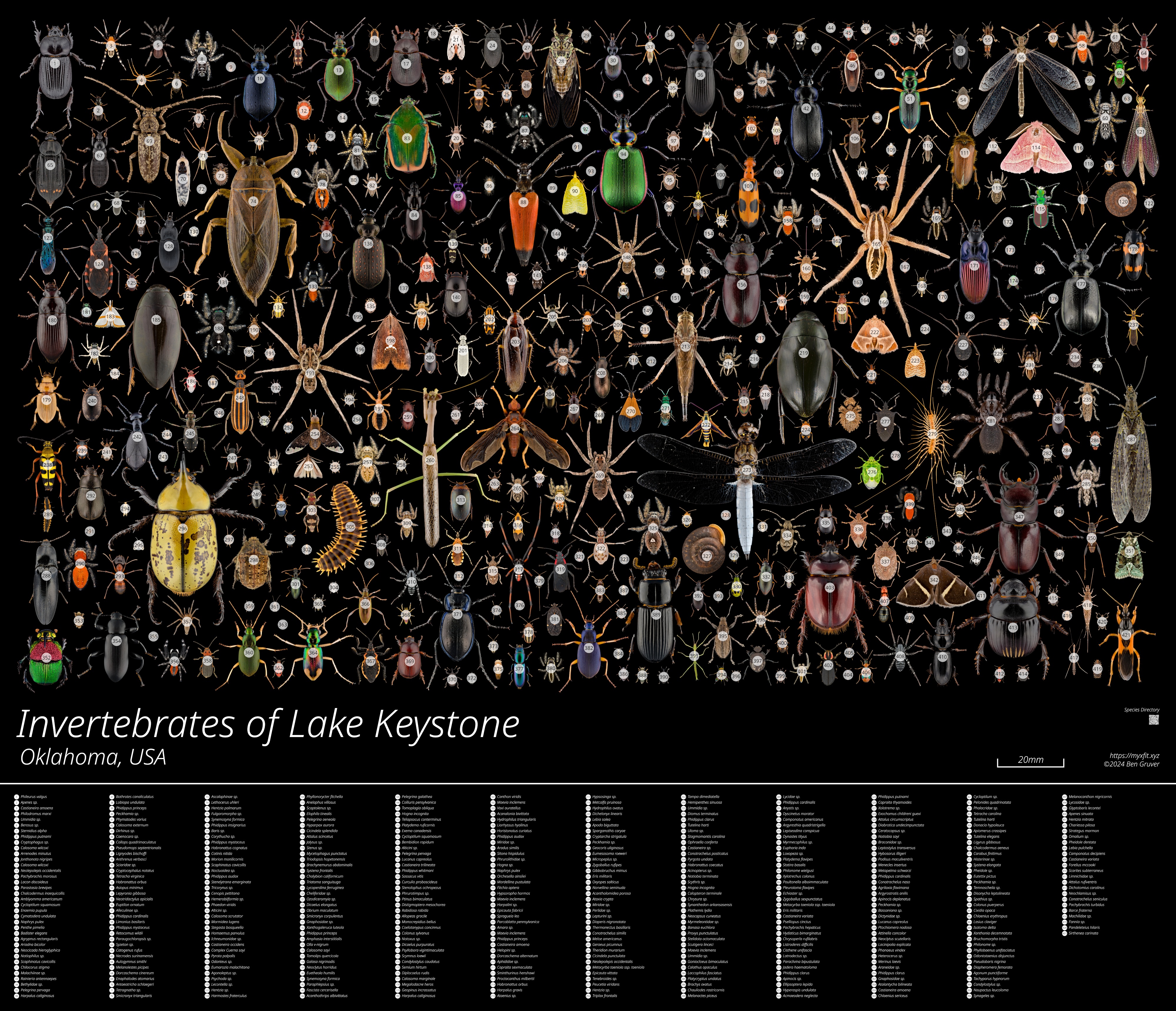 Species Key for Invertebrates of Lake Keystone poster